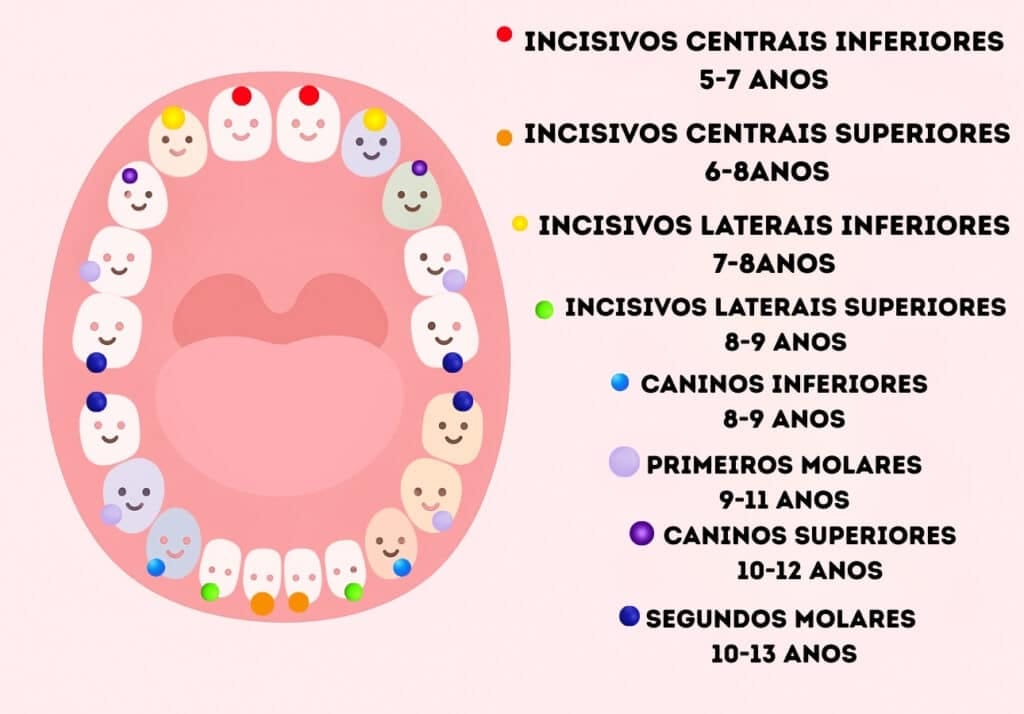 Colorful children's illustration showing the 20 baby teeth in a smiling mouth, with each group of teeth highlighted by different colors and captions with names and ages of replacement.